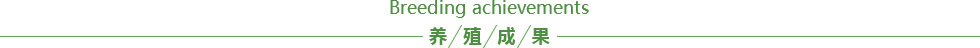 产品中心