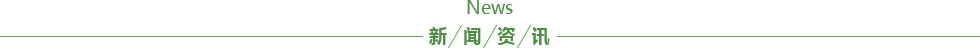 资讯动态