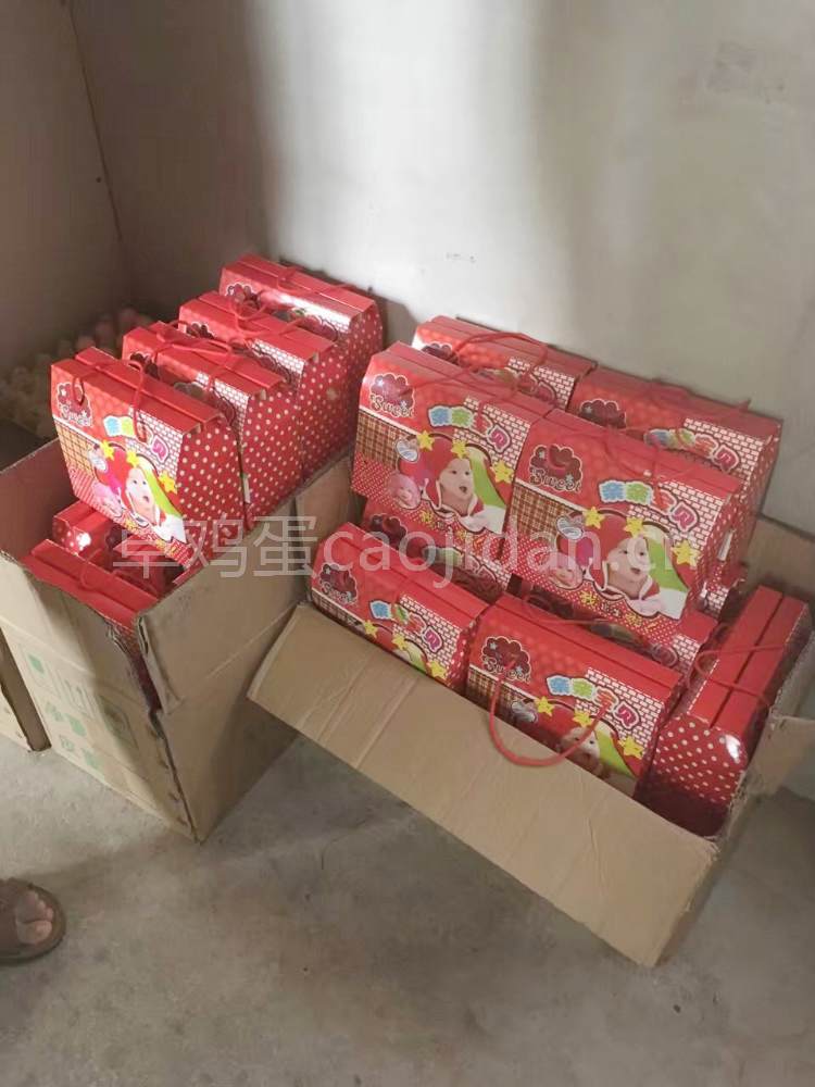 合肥肥东瓦屋岗山林生态散养喜蛋